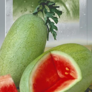 Семена арбуза Чарльстон Грей — 1 г — фото